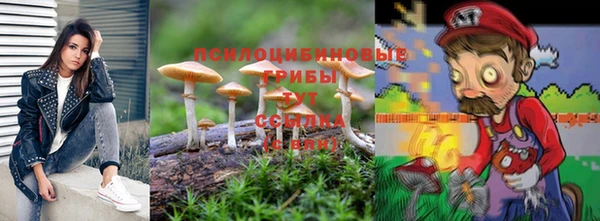 spice Володарск