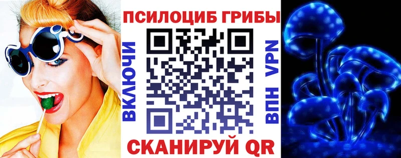 как найти наркотики  Тамбов  площадка клад  Галлюциногенные грибы MAGIC MUSHROOMS 